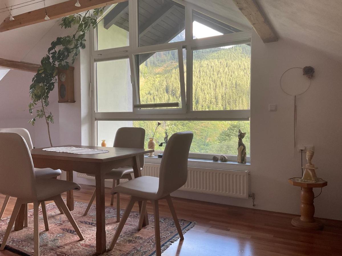 Ferienwohnung Dallinger Radmer an der Stube Extérieur photo