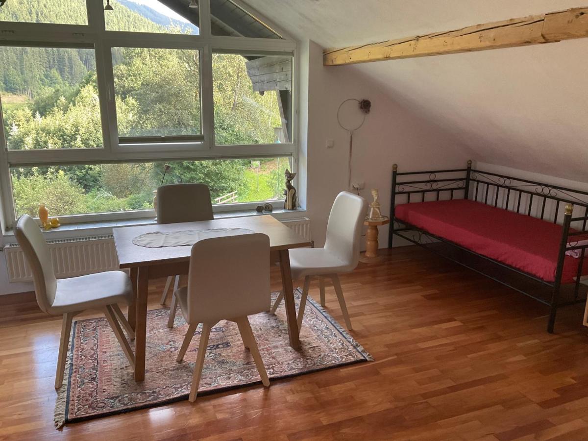 Ferienwohnung Dallinger Radmer an der Stube Extérieur photo